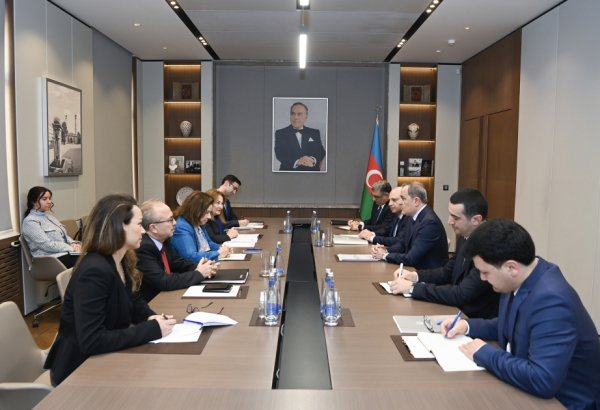 Türkiyə xarici işlər nazirinin müavini Azərbaycan-Ermənistan normallaşma prosesi barədə məlumatlandı